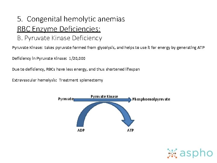 5. Congenital hemolytic anemias RBC Enzyme Deficiencies: B. Pyruvate Kinase Deficiency Pyruvate Kinase: takes