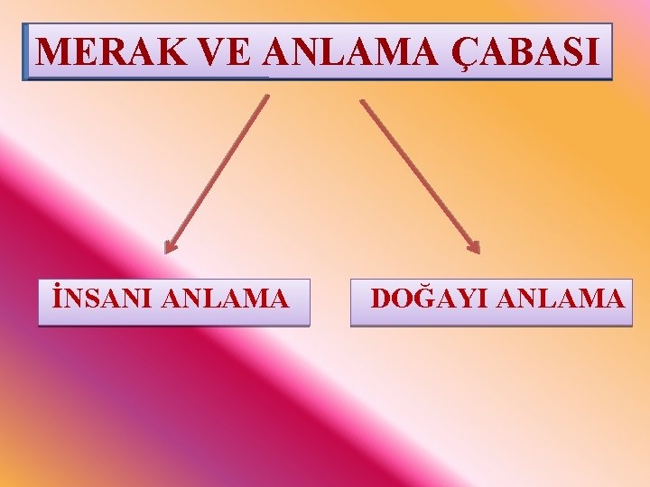 MERAK VE ANLAMA ÇABASI İNSANI ANLAMA DOĞAYI ANLAMA 