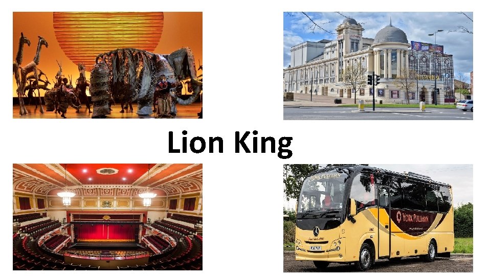 Lion King 