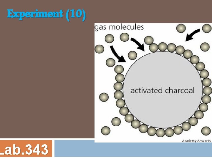 Experiment (10) Lab. 343 