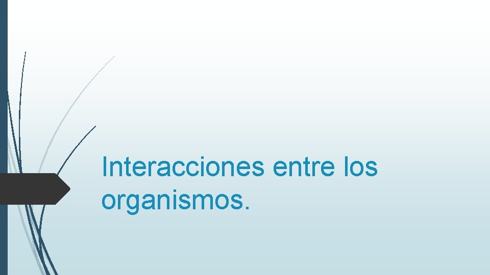 Interacciones entre los organismos. 