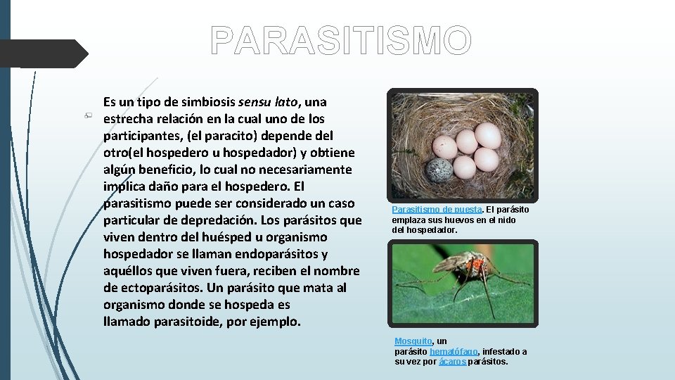 PARASITISMO Es un tipo de simbiosis sensu lato, una estrecha relación en la cual