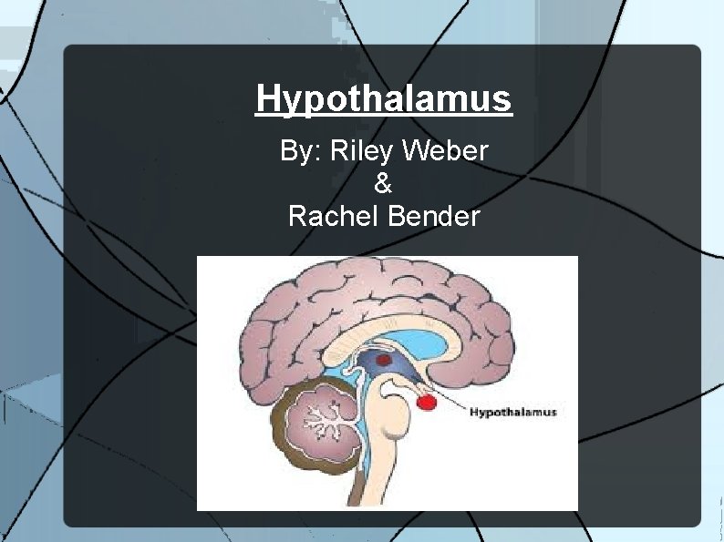 Hypothalamus By: Riley Weber & Rachel Bender 