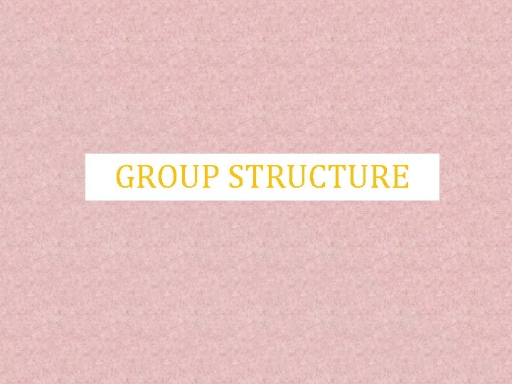 GROUP STRUCTURE 