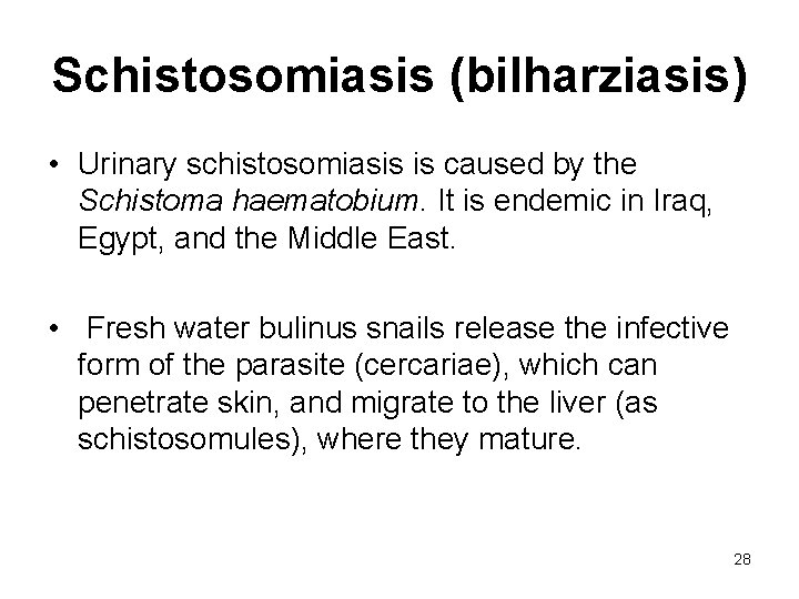 Schistosomiasis (bilharziasis) • Urinary schistosomiasis is caused by the Schistoma haematobium. It is endemic