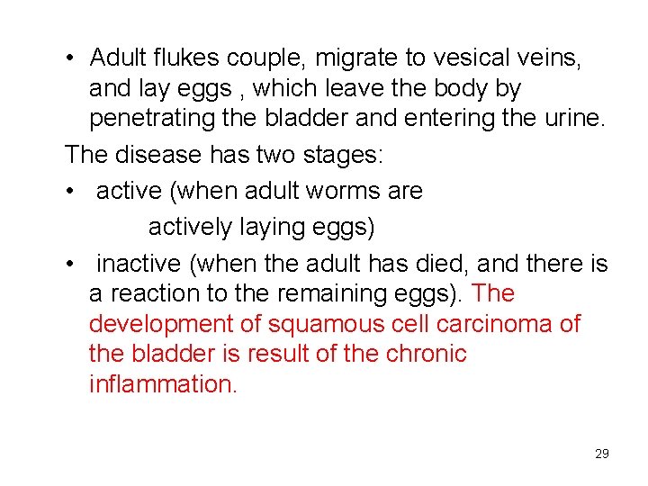  • Adult flukes couple, migrate to vesical veins, and lay eggs , which