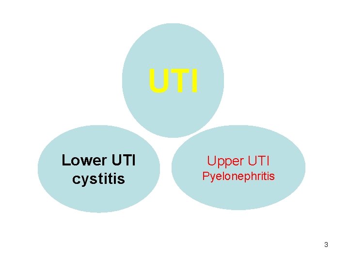 UTI Lower UTI cystitis Upper UTI Pyelonephritis 3 