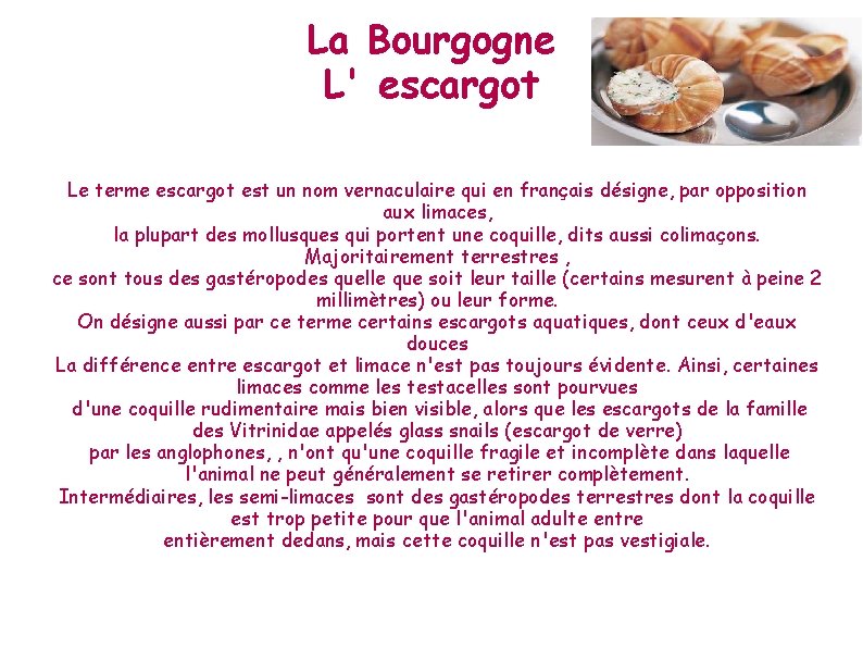 La Bourgogne L' escargot Le terme escargot est un nom vernaculaire qui en français