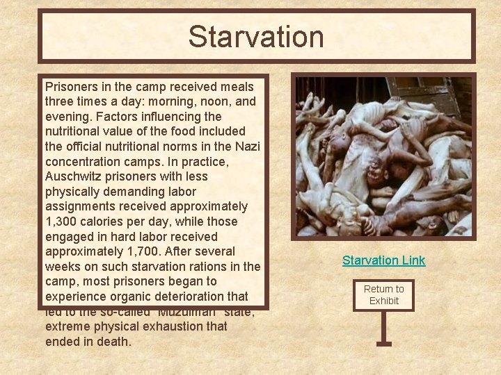 Starvation Prisoners in the camp received meals three times a day: morning, noon, and