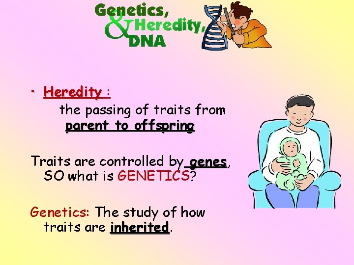  • Heredity : the passing of traits from parent to offspring Traits are