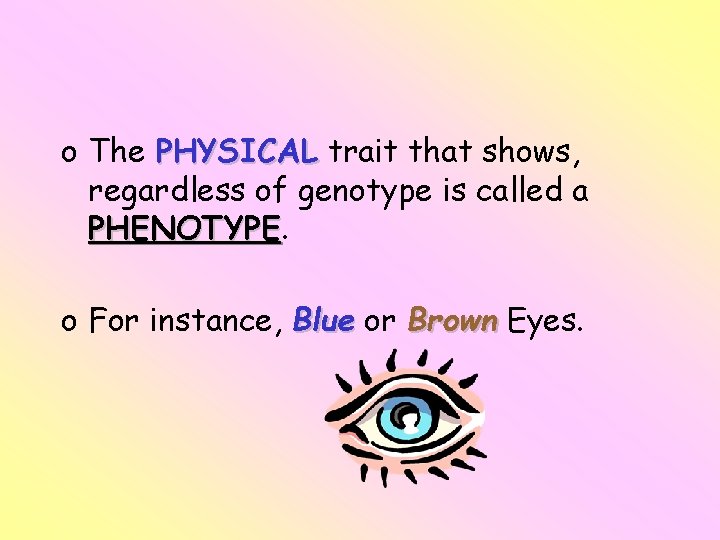 o The PHYSICAL trait that shows, regardless of genotype is called a PHENOTYPE o