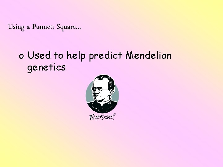 Using a Punnett Square… o Used to help predict Mendelian genetics Using a Punnett Square… o Used to help predict Mendelian genetics