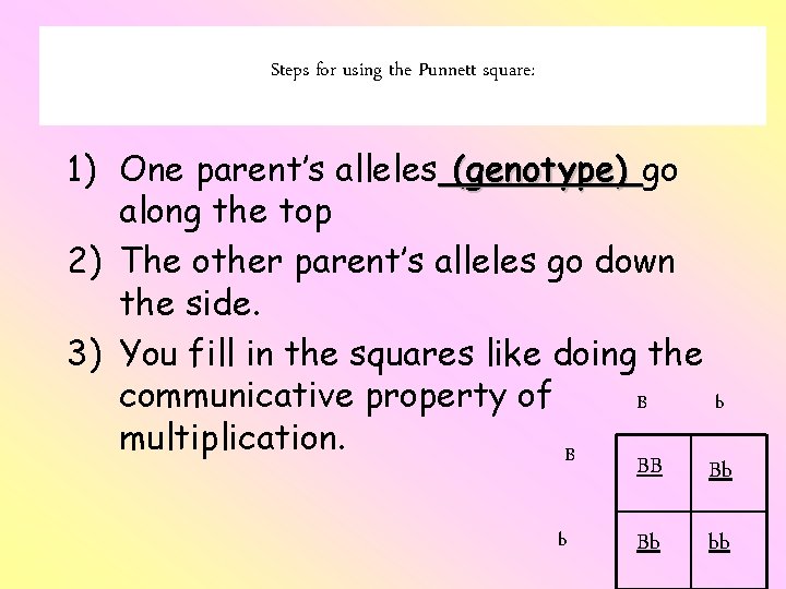 Steps for using the Punnett square: 1) One parent’s alleles (genotype) go along the