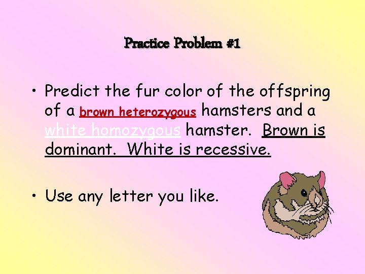 Practice Problem #1 • Predict the fur color of the offspring of a brown