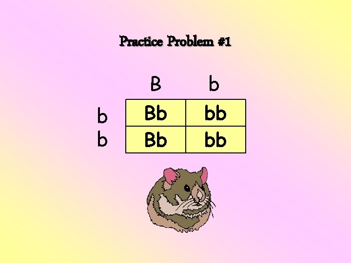 Practice Problem #1 b b B Bb Bb b bb bb Practice Problem #1 b b B Bb Bb b bb bb
