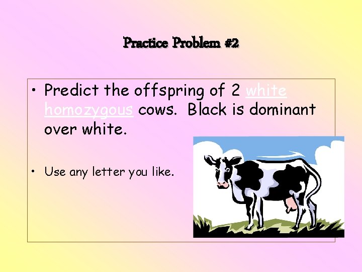 Practice Problem #2 • Predict the offspring of 2 white homozygous cows. Black is