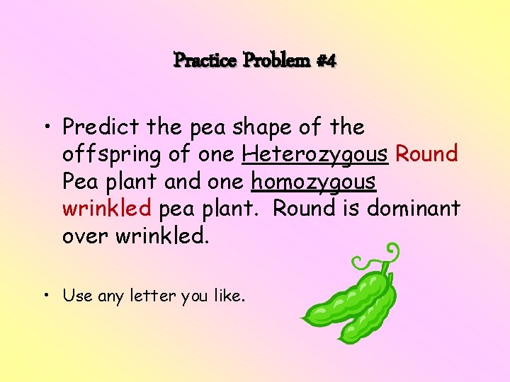 Practice Problem #4 • Predict the pea shape of the offspring of one Heterozygous Practice Problem #4 • Predict the pea shape of the offspring of one Heterozygous