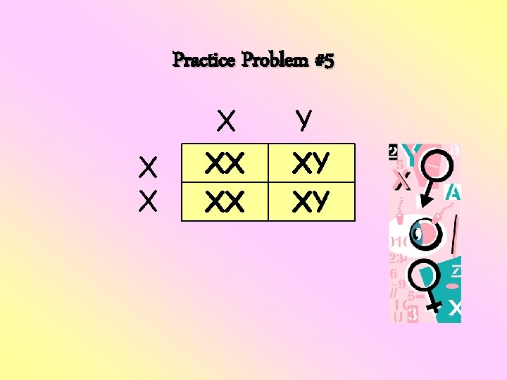 Practice Problem #5 X XX XX Y XY XY Practice Problem #5 X XX XX Y XY XY