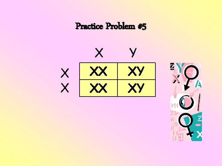 Practice Problem #5 X XX XX Y XY XY 