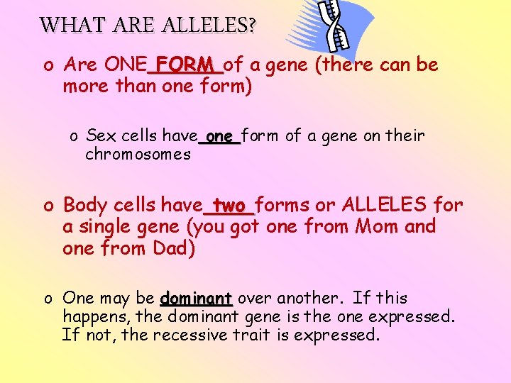 WHAT ARE ALLELES? o Are ONE FORM of a gene (there can be more