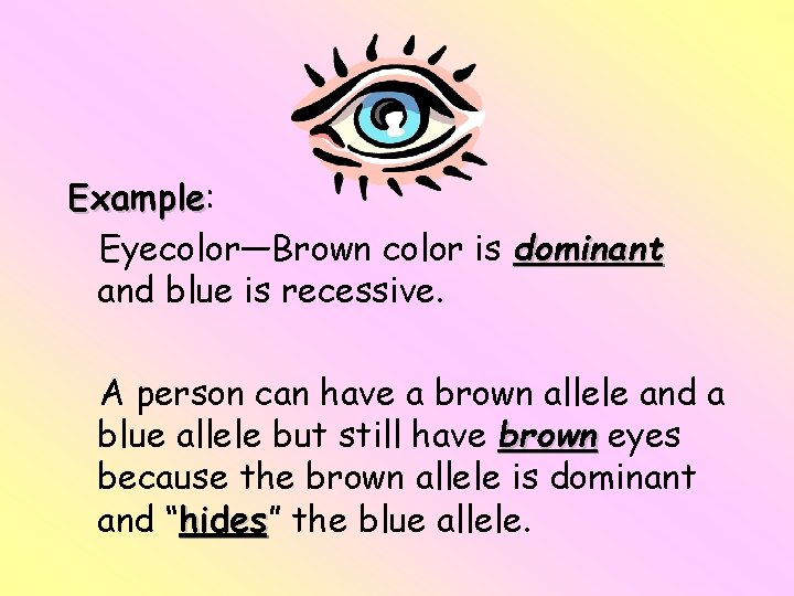 Example: Example Eyecolor—Brown color is dominant and blue is recessive. A person can have