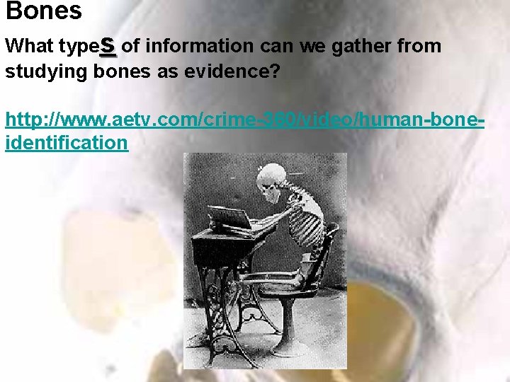 Bones What types of information can we gather from studying bones as evidence? http: