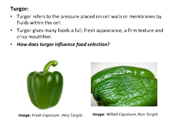 Turgor: • Turgor refers to the pressure placed on cell walls or membranes by