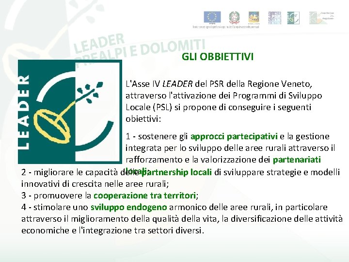 GLI OBBIETTIVI L'Asse IV LEADER del PSR della Regione Veneto, attraverso l'attivazione dei Programmi