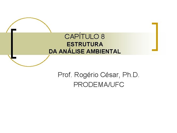 CAPÍTULO 8 ESTRUTURA DA ANÁLISE AMBIENTAL Prof. Rogério César, Ph. D. PRODEMA/UFC 