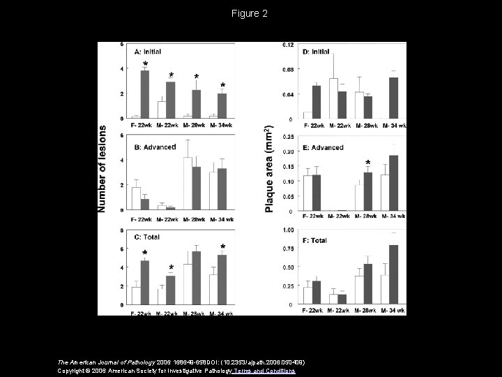 Figure 2 The American Journal of Pathology 2006 168649 -658 DOI: (10. 2353/ajpath. 2006.