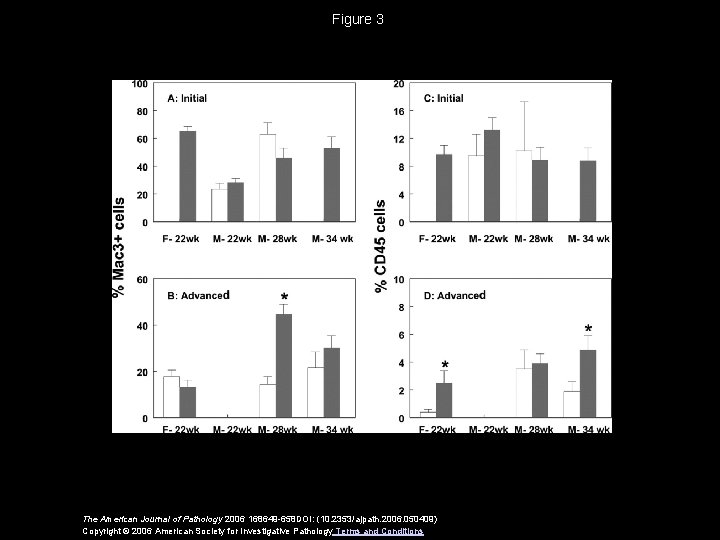 Figure 3 The American Journal of Pathology 2006 168649 -658 DOI: (10. 2353/ajpath. 2006.