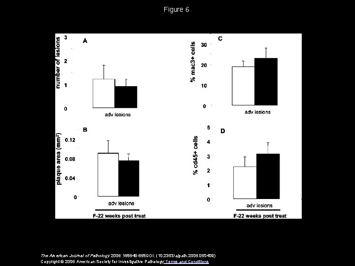 Figure 6 The American Journal of Pathology 2006 168649 -658 DOI: (10. 2353/ajpath. 2006.