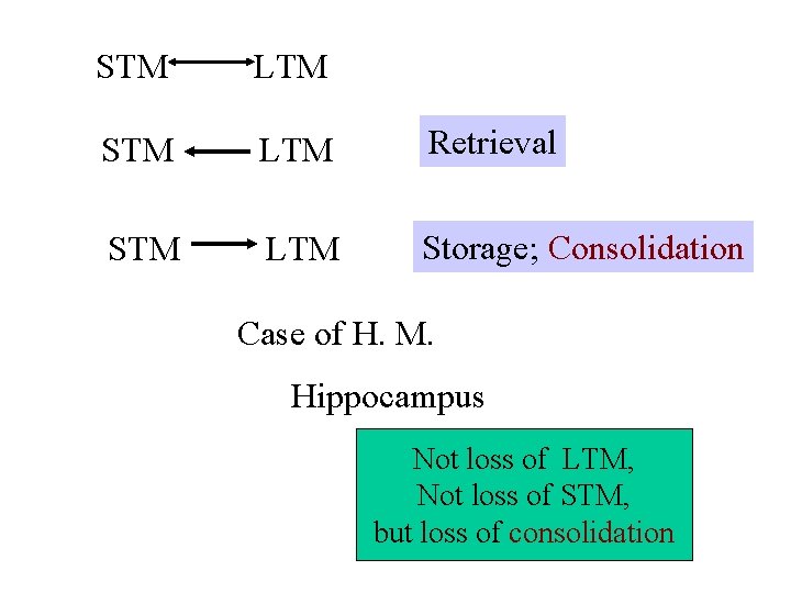 STM LTM Retrieval STM LTM Storage; Consolidation Case of H. M. Hippocampus Not loss STM LTM Retrieval STM LTM Storage; Consolidation Case of H. M. Hippocampus Not loss