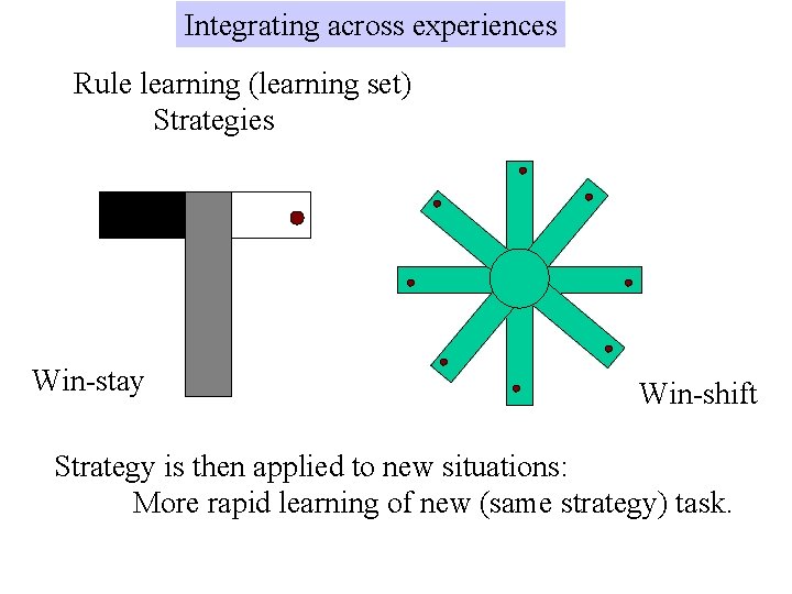 Integrating across experiences Rule learning (learning set) Strategies Win-stay Win-shift Strategy is then applied Integrating across experiences Rule learning (learning set) Strategies Win-stay Win-shift Strategy is then applied