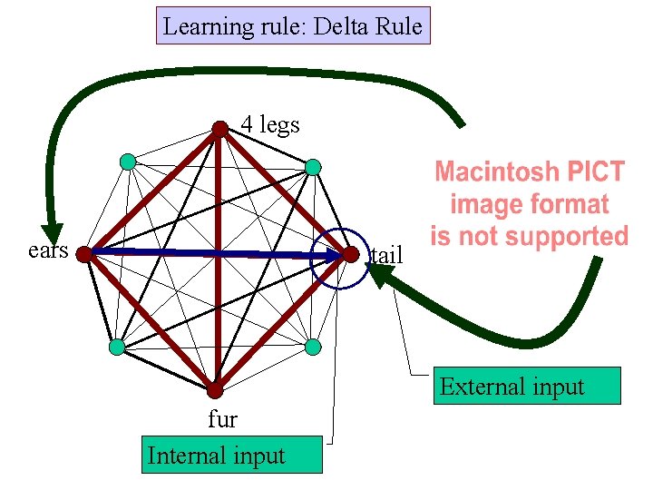 Learning rule: Delta Rule 4 legs ears tail External input fur Internal input 