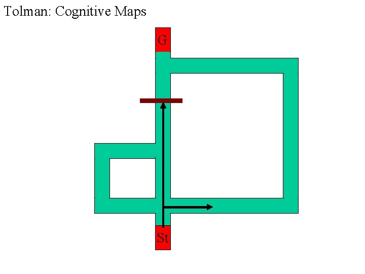 Tolman: Cognitive Maps G St Tolman: Cognitive Maps G St