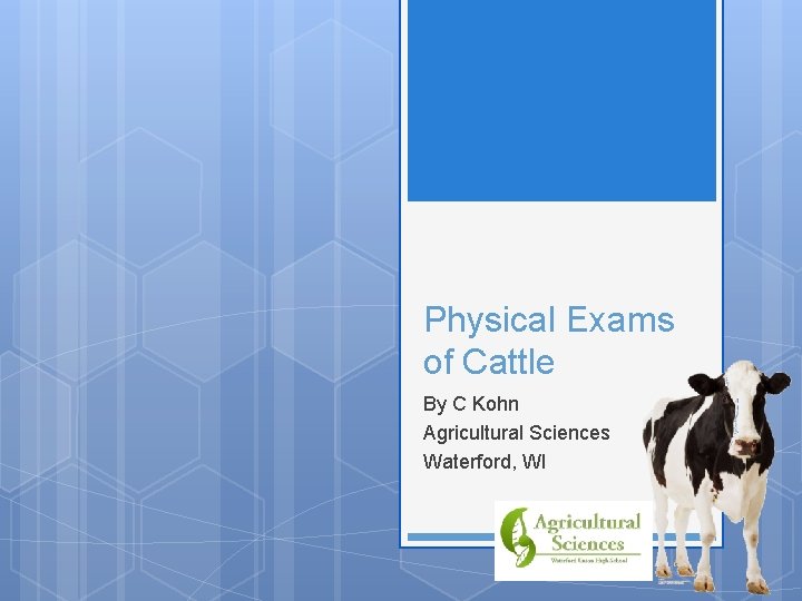 Physical Exams of Cattle By C Kohn Agricultural Sciences Waterford, WI 
