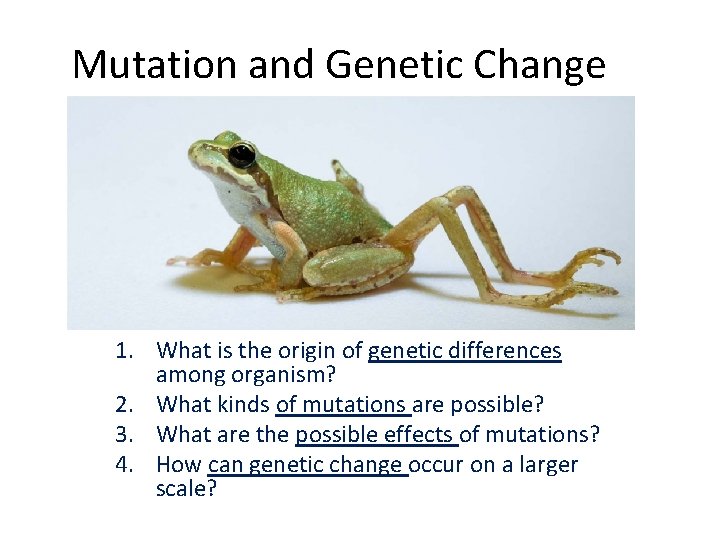 Mutation and Genetic Change 1. What is the origin of genetic differences among organism?