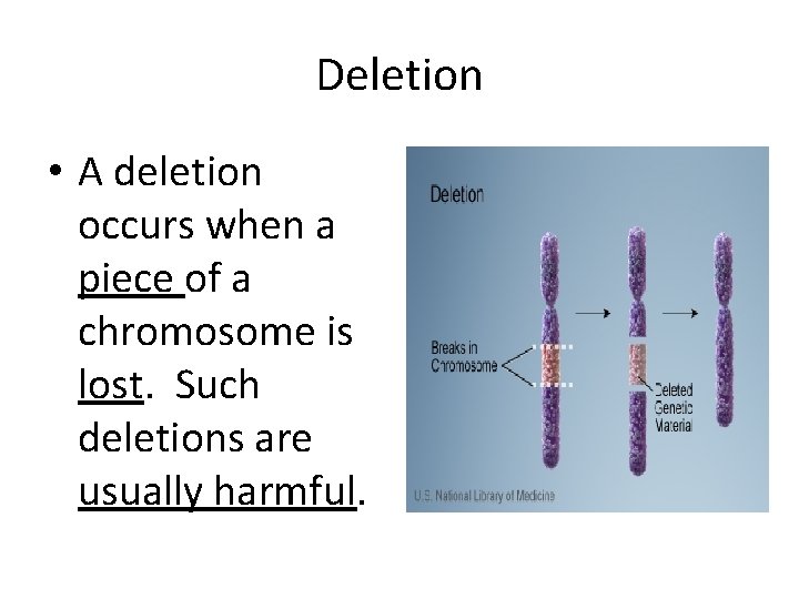 Deletion • A deletion occurs when a piece of a chromosome is lost. Such