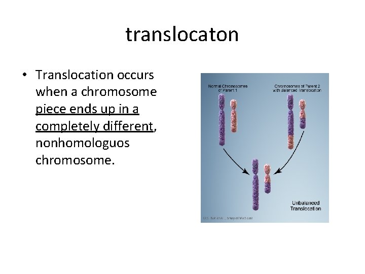 translocaton • Translocation occurs when a chromosome piece ends up in a completely different,