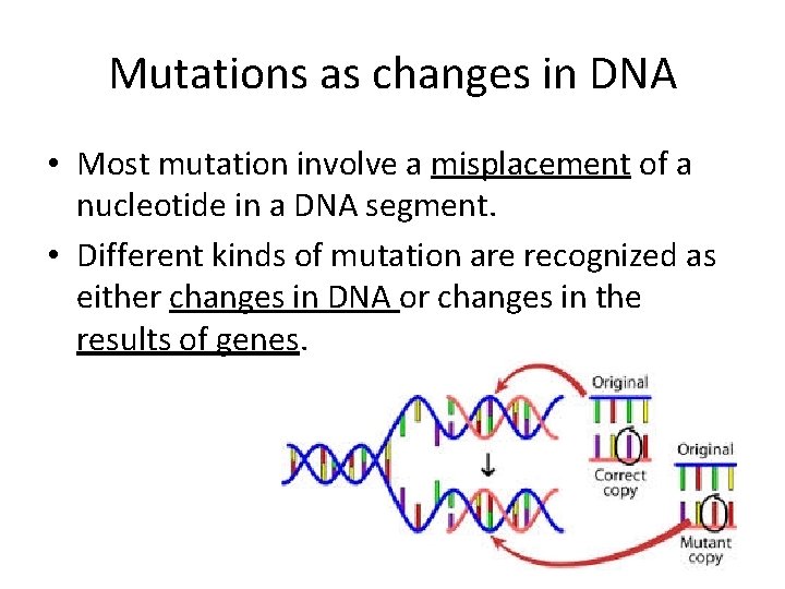 Mutations as changes in DNA • Most mutation involve a misplacement of a nucleotide