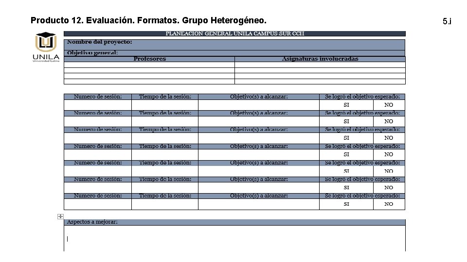 Producto 12. Evaluación. Formatos. Grupo Heterogéneo. 5. i 