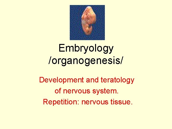 Embryology /organogenesis/ Development and teratology of nervous system. Repetition: nervous tissue. 