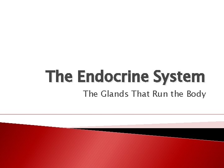 The Endocrine System The Glands That Run the Body The Endocrine System The Glands That Run the Body