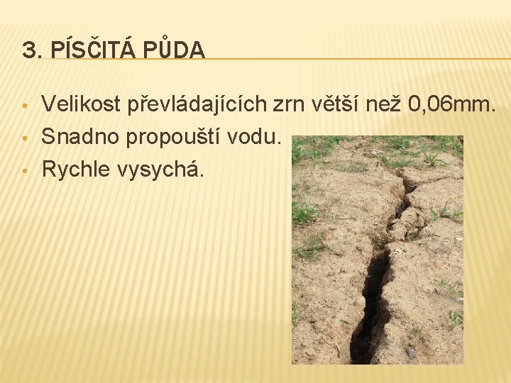 3. PÍSČITÁ PŮDA • • • Velikost převládajících zrn větší než 0, 06 mm. 3. PÍSČITÁ PŮDA • • • Velikost převládajících zrn větší než 0, 06 mm.