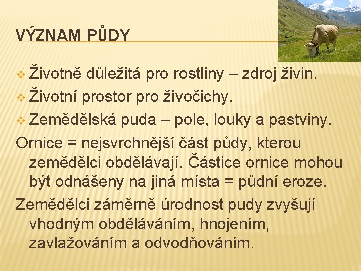 VÝZNAM PŮDY v Životně důležitá pro rostliny – zdroj živin. v Životní prostor pro VÝZNAM PŮDY v Životně důležitá pro rostliny – zdroj živin. v Životní prostor pro