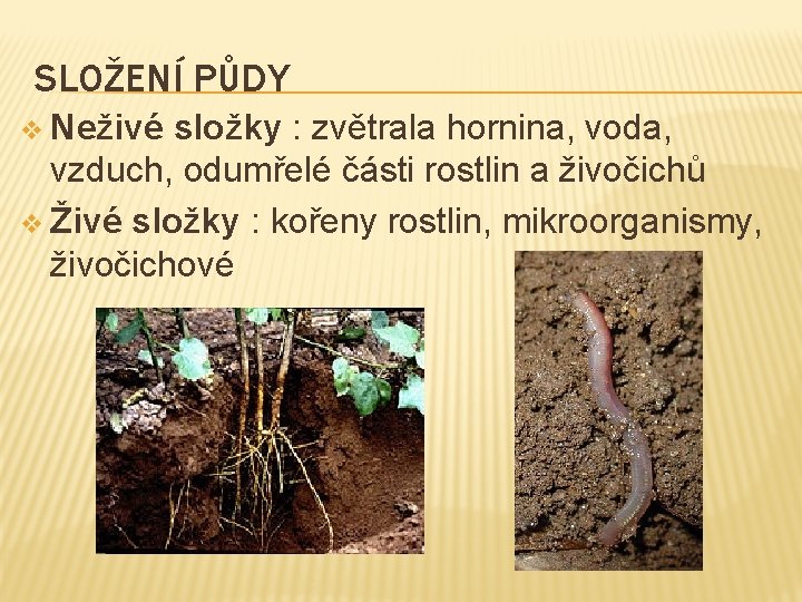 SLOŽENÍ PŮDY v Neživé složky : zvětrala hornina, voda, vzduch, odumřelé části rostlin a SLOŽENÍ PŮDY v Neživé složky : zvětrala hornina, voda, vzduch, odumřelé části rostlin a
