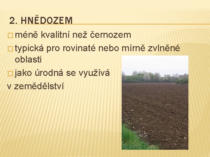 2. HNĚDOZEM � méně kvalitní než černozem � typická pro rovinaté nebo mírně zvlněné 2. HNĚDOZEM � méně kvalitní než černozem � typická pro rovinaté nebo mírně zvlněné