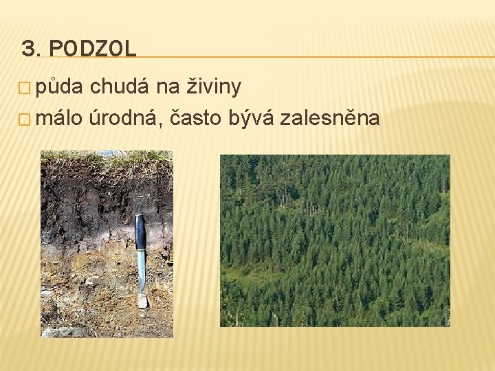 3. PODZOL � půda chudá na živiny � málo úrodná, často bývá zalesněna 3. PODZOL � půda chudá na živiny � málo úrodná, často bývá zalesněna