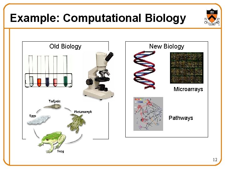 Example: Computational Biology Old Biology New Biology Microarrays Pathways 12 Example: Computational Biology Old Biology New Biology Microarrays Pathways 12